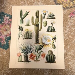 Vintage Botanical Cactus Print